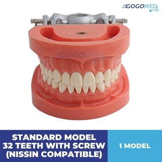 Standard Model 32 Teeth Screw Nissin Compatible Dental Typhodont