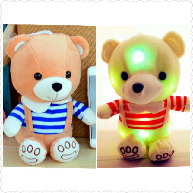 teddy bear with voice recording