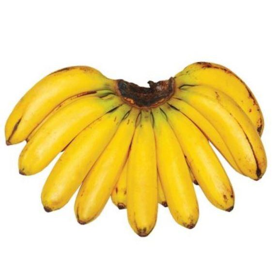 saging