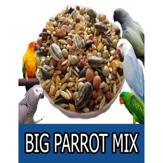 Big Parrot Mixed For Medium & Large Birds 1KG