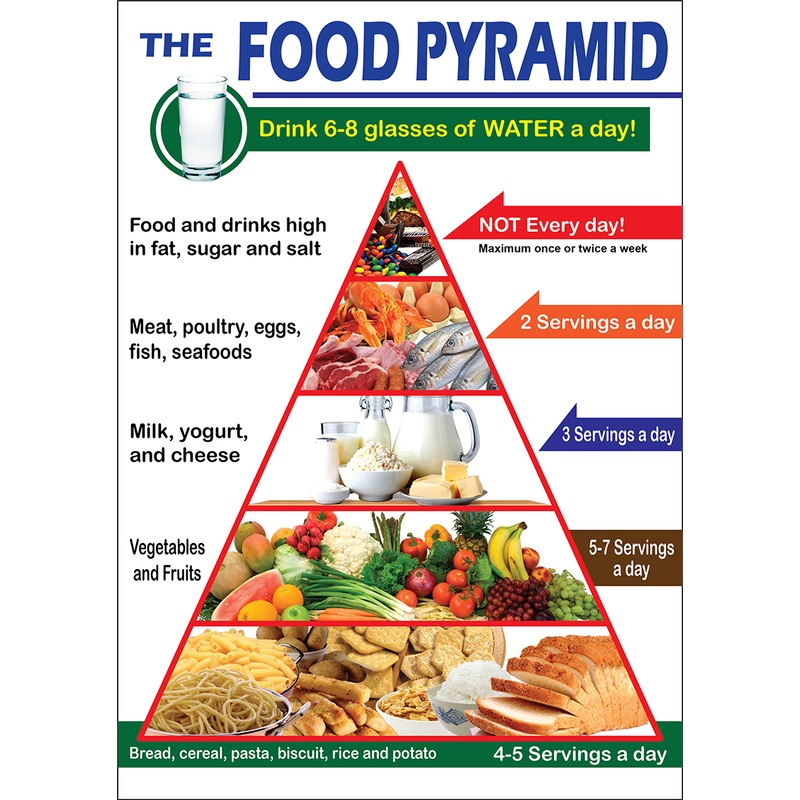 FOOD PYRAMID EDUCATIONAL CHART FOR KIDS - A4 SIZE | Shopee Philippines