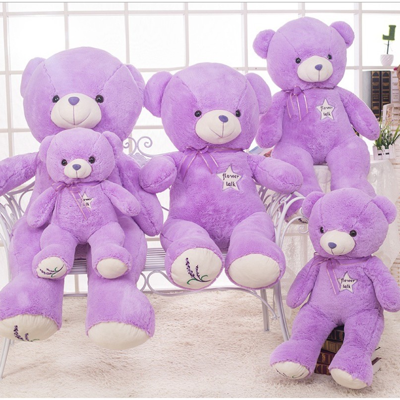 lavender teddy