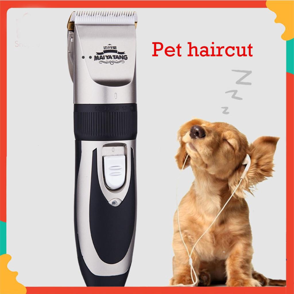 dog razor shopee
