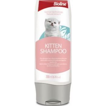 kitten shampoo