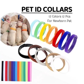 Pet ID Collars Puppy Whelping Collars Kitten Adjustable Soft Bands Collar For Newborn Pet 12pcs