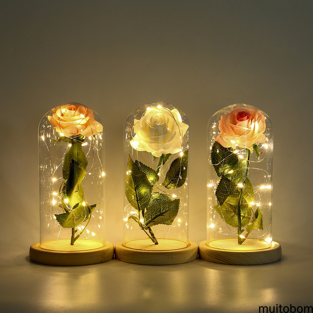 Mu Eternal Rose Flower In Glass Dome Flower Led String Light Valentine S Day Gift Decoration Shopee Philippines © 2020 mu online all rights reserved. shopee