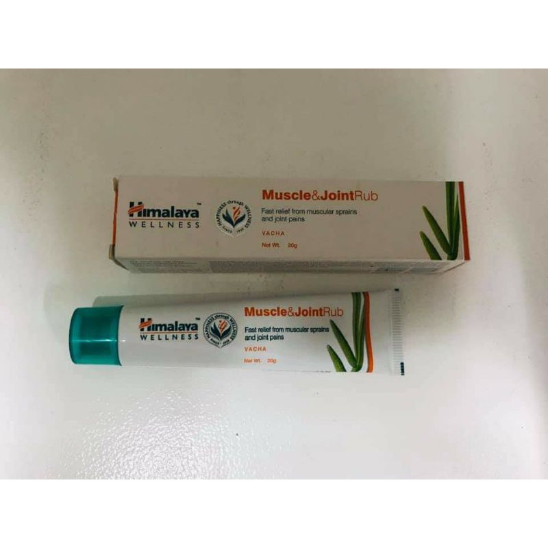 Himalaya Wellness Muscle and Joint Rub 20g Shopee Philippines