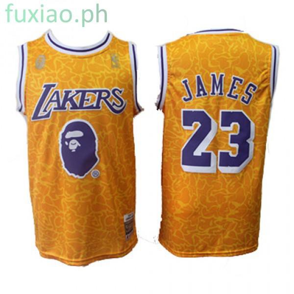 mitchell and ness lebron lakers