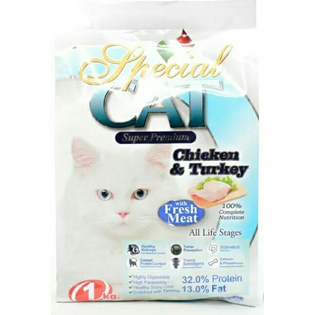 special cat dry food