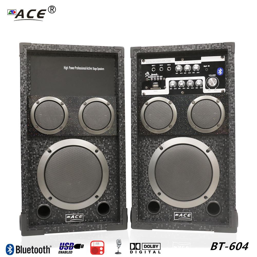 amplifier woofer speaker