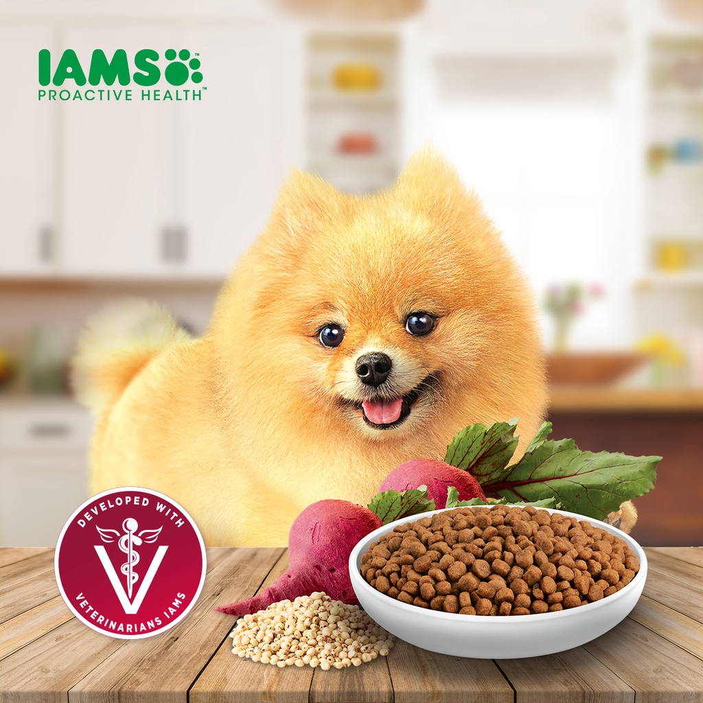 IAMS Proactive Health – Premium Dog Food Dry for Small Breed Adult Dogs, 1.5kg.