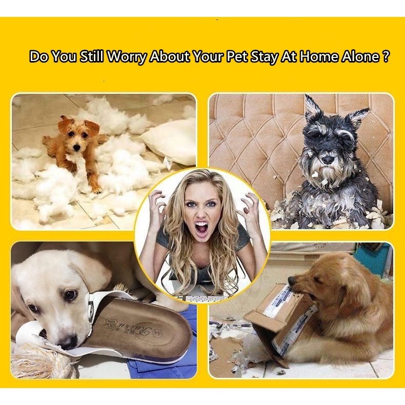 [Crazy Pet] Pet Dog Squeaky Teether Training Toy #2