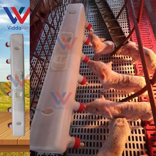 Viddavet Piglet and lamb breastfeeding device, lamb and piglet milk tank 6 pacifiers