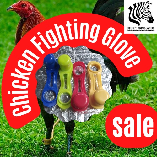 1 set 4pc Fighting Gamefowl Sparring Glove Protective for Rooster/ Chicken Game Fowl Accessory #2