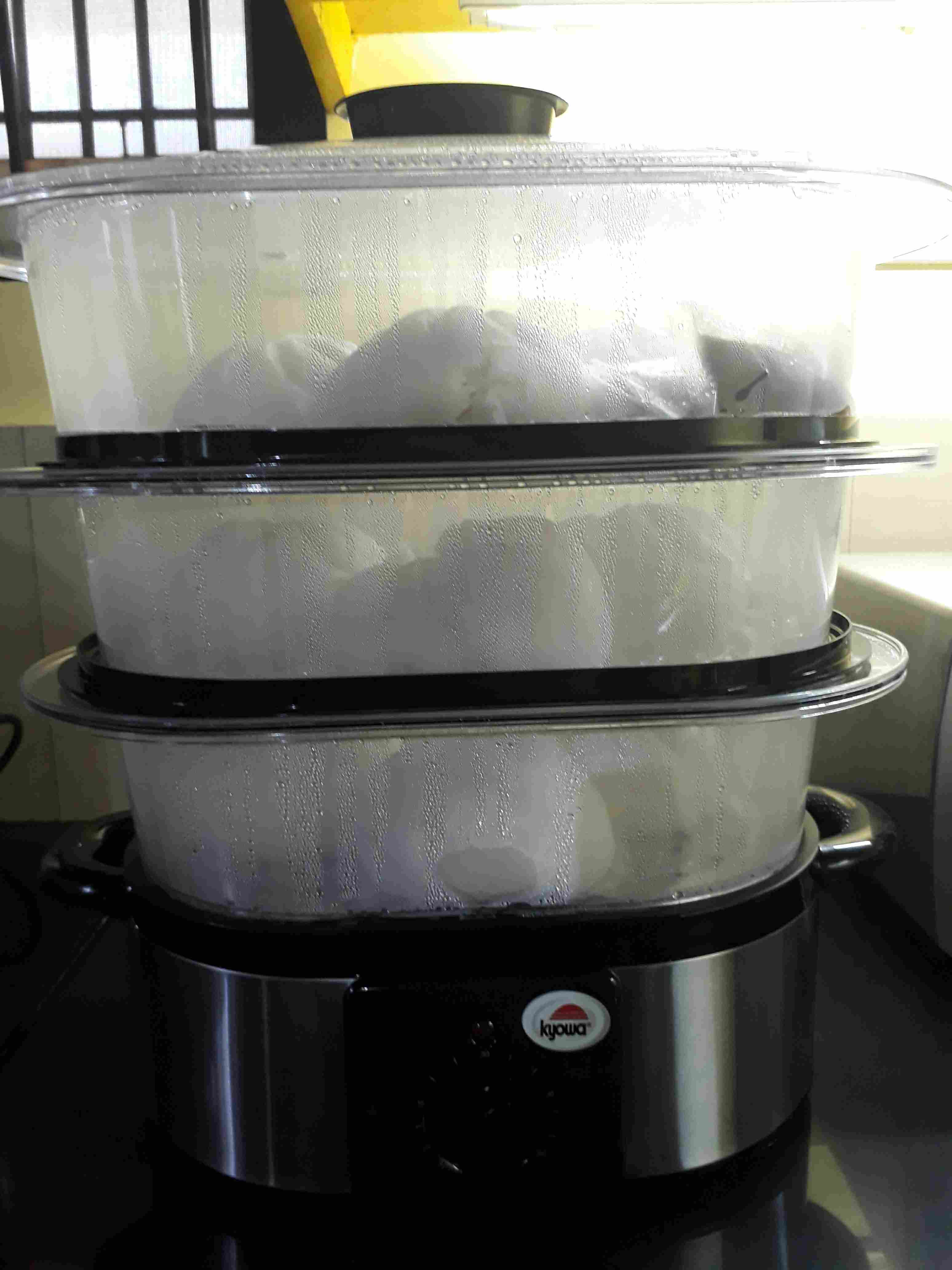 Kyowa KW1902 10.8L Electric Food Steamer Shopee Philippines