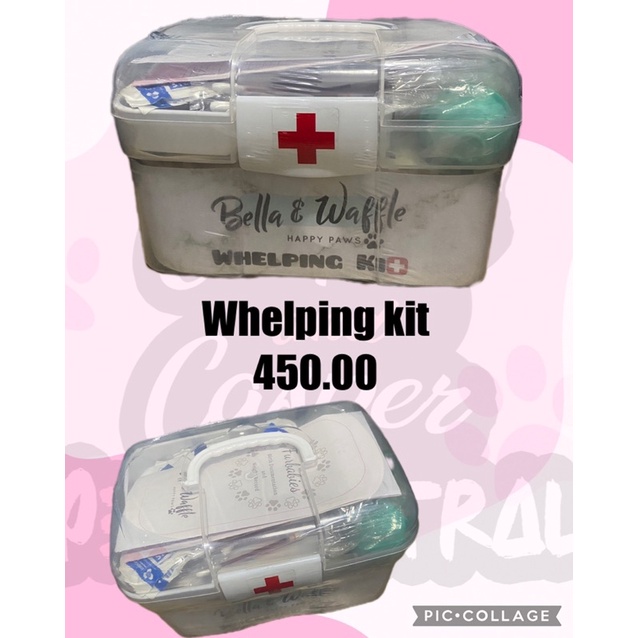 Whelping Kit with medicine box #2