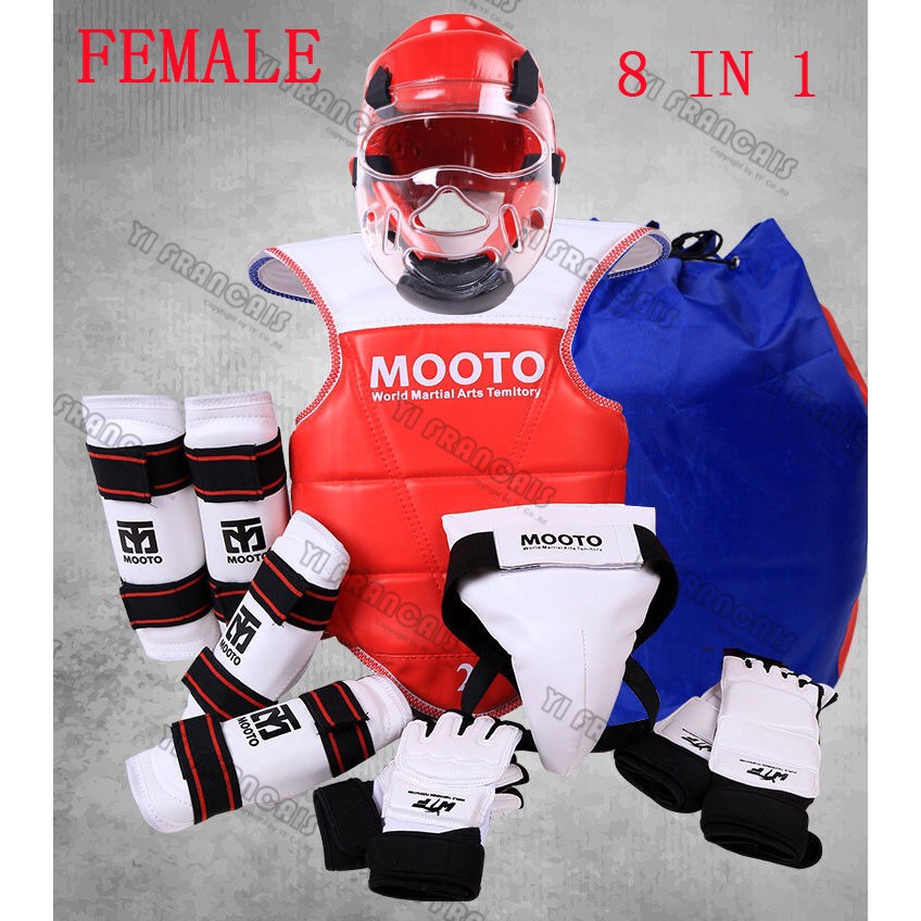 martial arts protective equipment
