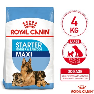 royal canin maxi adult 4 kg