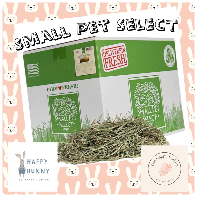 Small Pet Select Hay Trial Pack (100g) Shopee Philippines