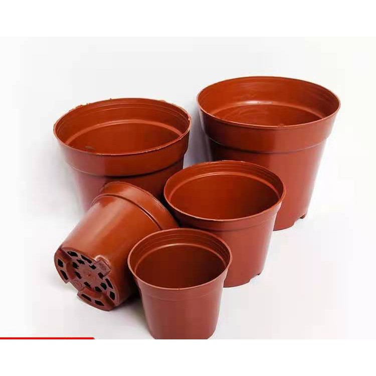 Plastic Flower Pot for Cactus and Succulents Indoor or Outdoor 12x11cm