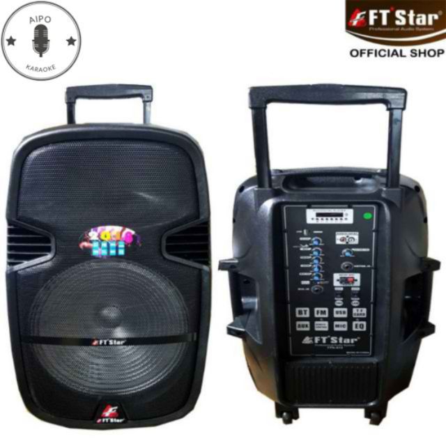 portable music system with mic