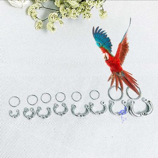 GY (1 large circle and a small circle) 2 pieces / set of parrot leg ring alloy outdoor flight traini