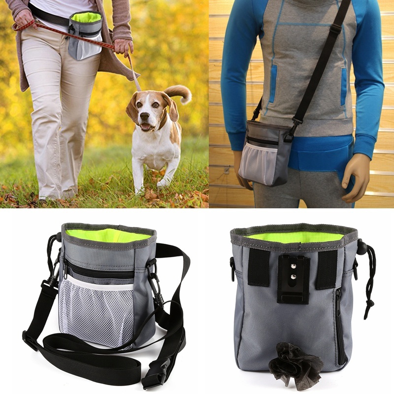 dog walking pouch