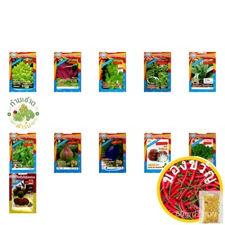 Plump Seeds 1 Send Kerry Pack Of 5 Sachets ... 3A About 500 Korean Green Sesame Leaves/Three A Brand Vegetable Me #5
