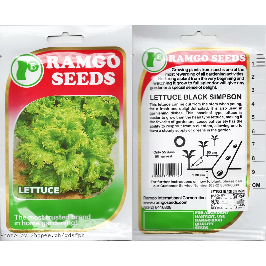 Ramgo RPO Seeds Lettuce Simpson, Eton, Bionda, Rossa, Iceberg (Original