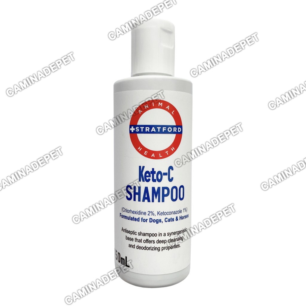 antibiotic dog shampoo