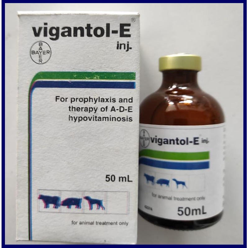 Vigantol E vitamin AD3E (Bayer) 50 ml, Antidefficiency Medicine