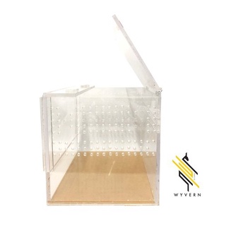 Acrylic Tarantula Enclosure - 8x6x6 inches (Terrestrial) #2