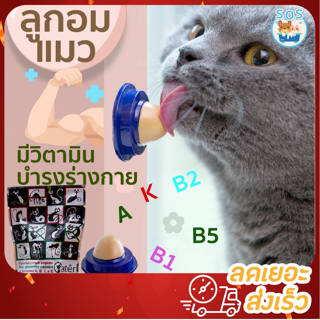 catnip Candy catmint Vitamin Supplement Cat Snacks Energy Ball Gelatin