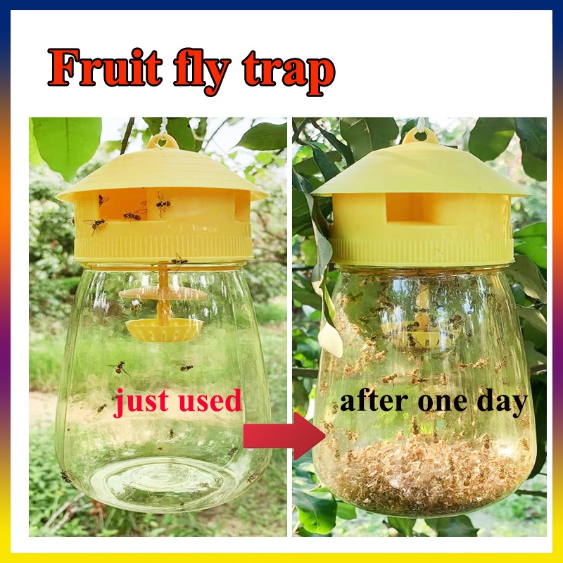 Fruit Fly Attractant Trap Wasp Trap Fruit Fly Catcher Vegetable Garden ...