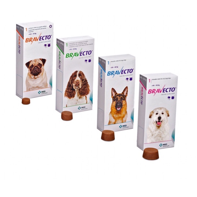 bravecto and mange