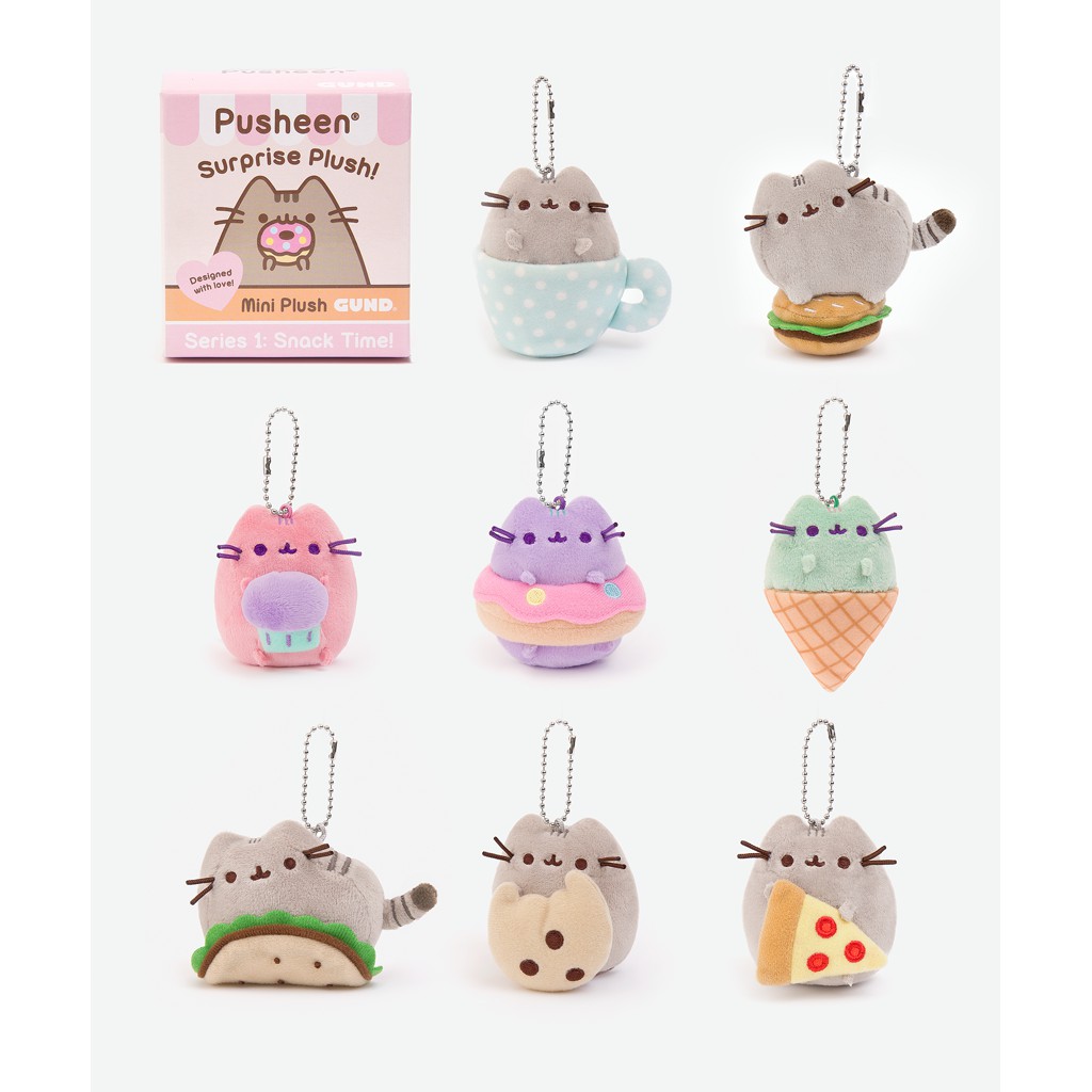 pusheen surprise box