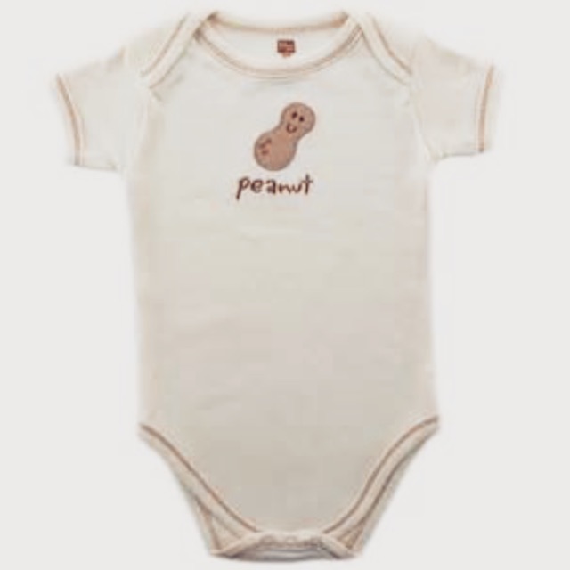 hudson baby onesies