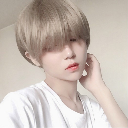 Daily Wig for Women and Men Short Hair Bangs Handsome Men Short Straight  Hair Cosplay Wig Party Wig | Shopee Philippines