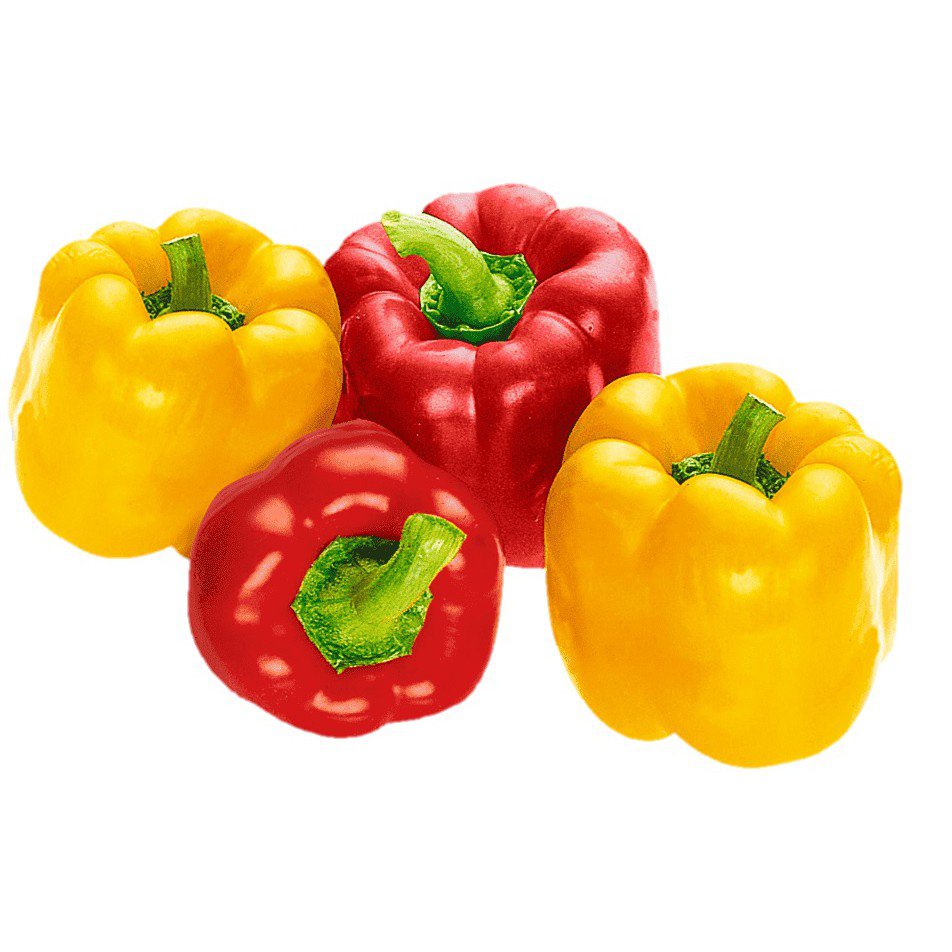 Biji Benih Capsicum Random Mix Colour Bell Pepper 10 Seeds