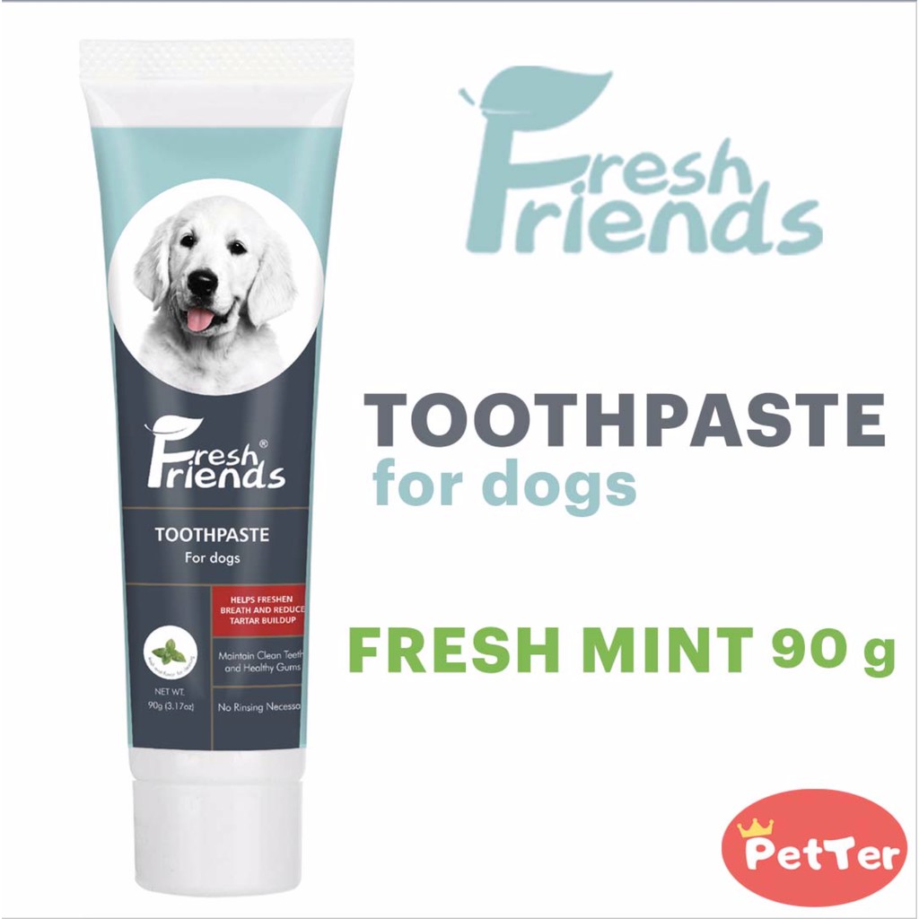 dog licked toothpaste