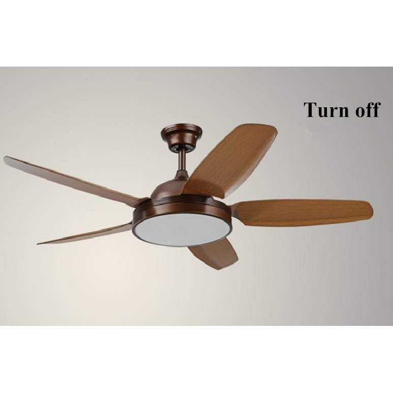 12v Dc Electrical Portable Ceiling Fan 3 Blade Low Noise