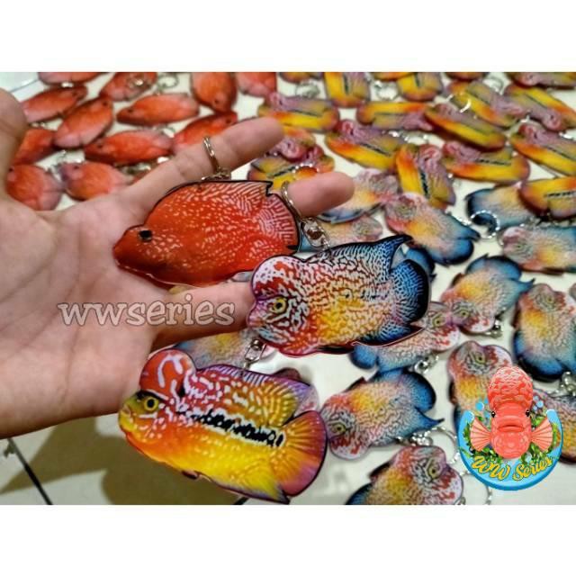 How Much Flowerhorn Fish In Philippines Best Flower Site