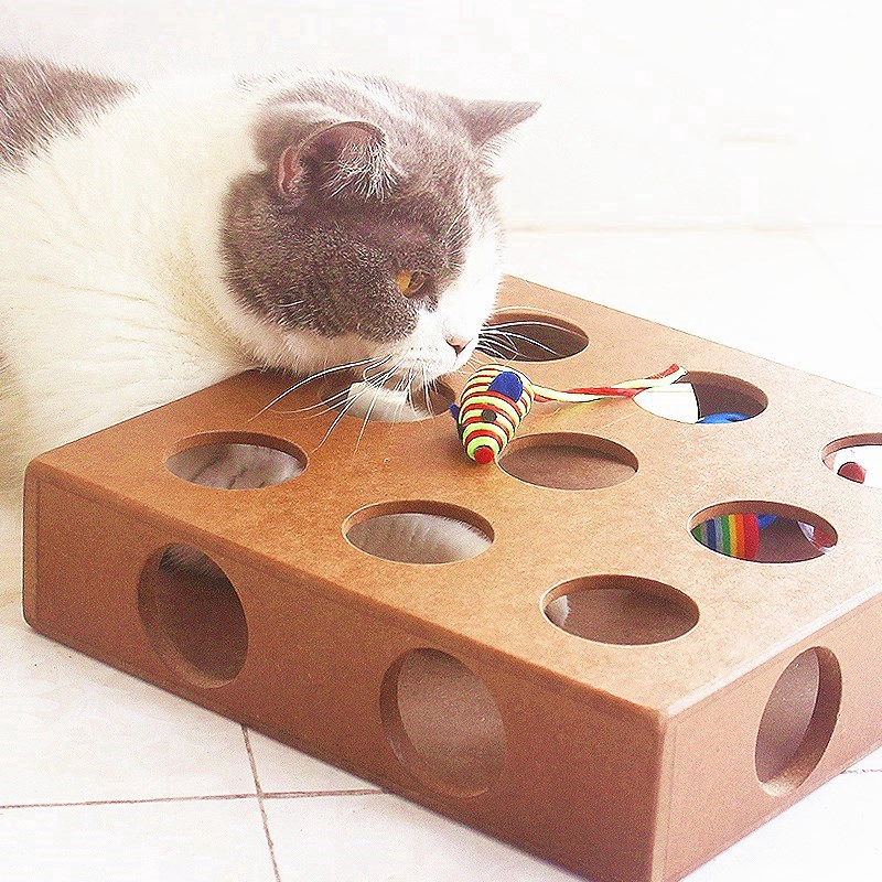 cat puzzle toy