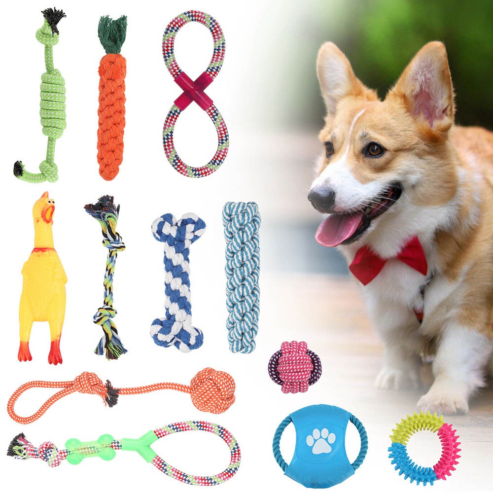 bulk buy dog toys