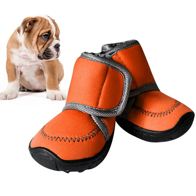 dog boots