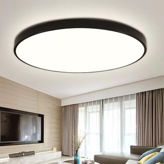 LED living room lamp 18W-30CM 24W-40CM bedroom lamp dining hall aisle corridor ceiling lamp monochro #1