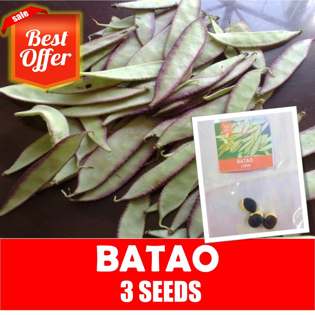 Batao Seeds Vegetable Seeds Shopee Philippines