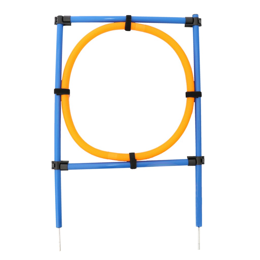 dog agility equipment
