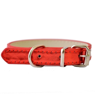 buckle dog collars