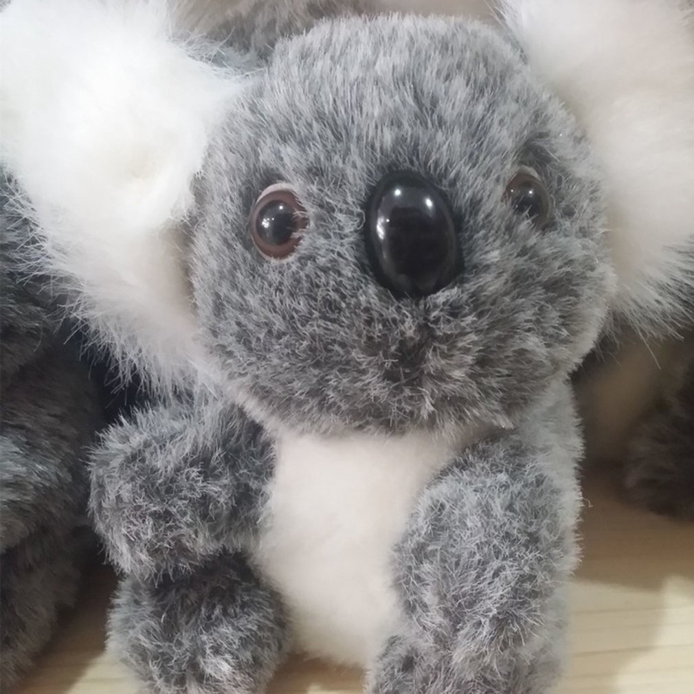 koala plushie